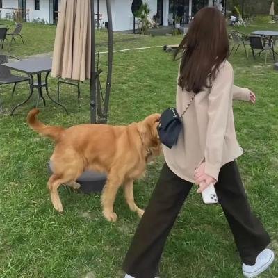 冷月寒秋